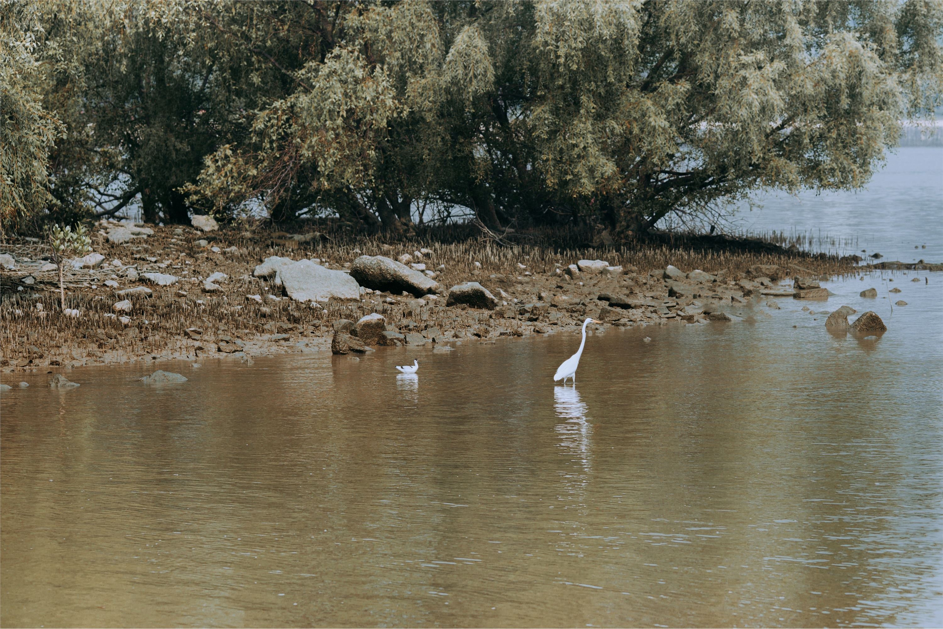 YITUYU艺图语 2021.09.04 遇芳记 苹果大人